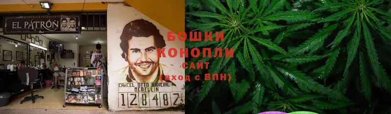 mega как войти  Велиж  shop какой сайт  Бошки Шишки Bruce Banner 